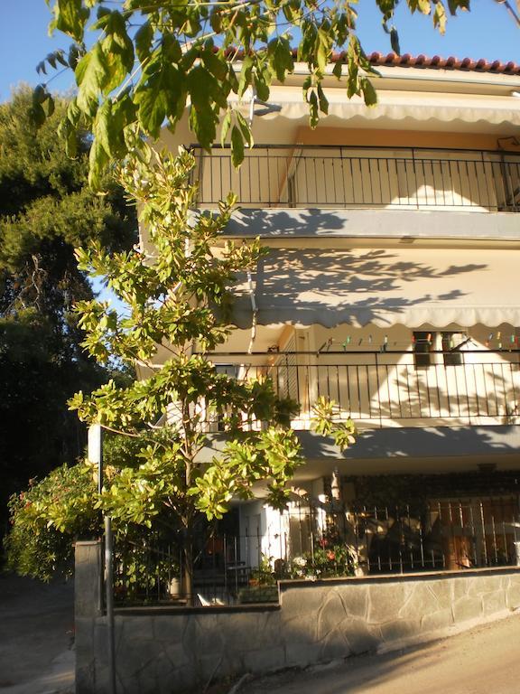 Apartment Zavrakli