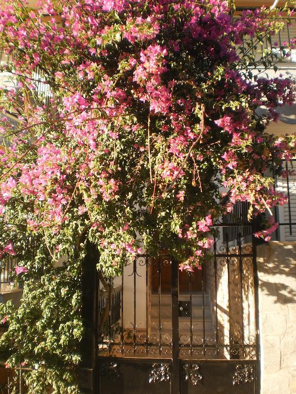 Apartment Zavrakli